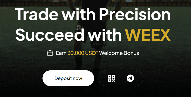 Cryptocurrency Exchanges with the Lowest Trading Fees Weex